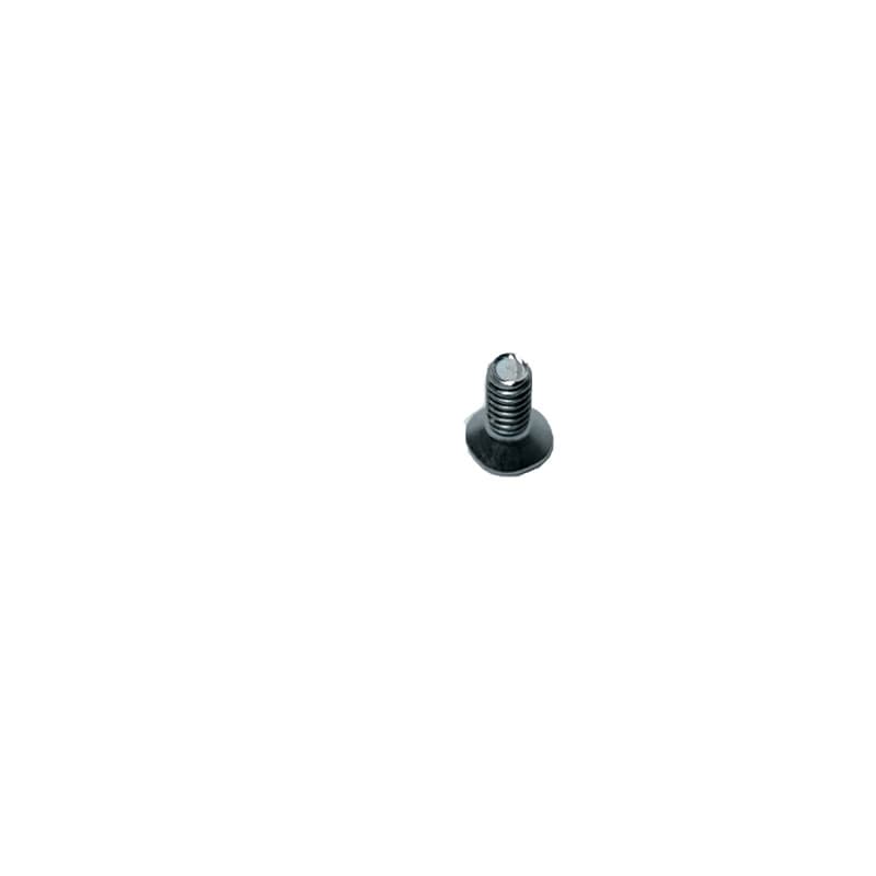 Painting Machine Screw